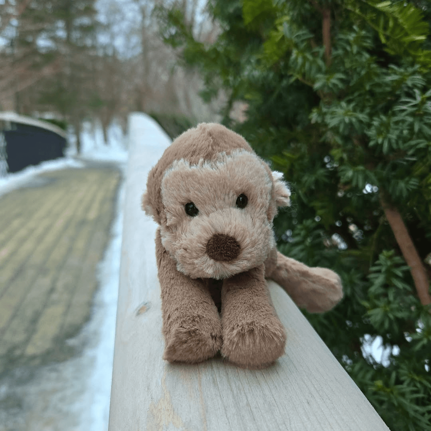 George Smudge Monkey - ShopLorca